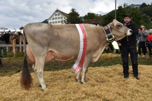 1Miss Schwyz 18